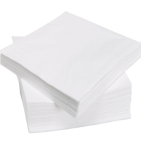 Paper Napkins